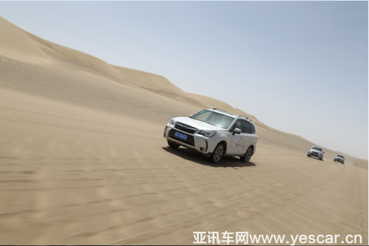 021955372d9ea3b1471617.png 資訊稿-斯巴魯參與主辦野駱駝科學考察活動0520終729.png