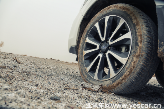 021955479aee836cd40195.png 資訊稿-斯巴魯參與主辦野駱駝科學考察活動0520終731.png