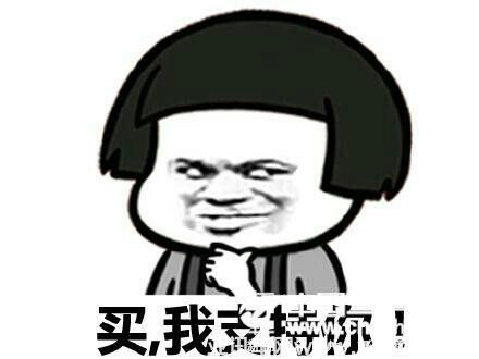 重慶車博會搶半價(jià)車活動(dòng)開始啦 手慢無！