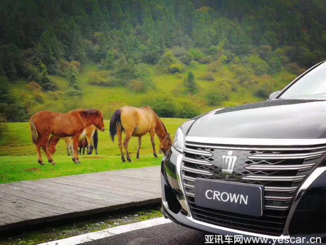 廣交會(huì)，那是我們與皇冠的起點(diǎn)