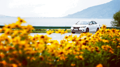 251743346cffc6668e8548.gif image002.gif