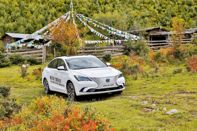 251359112f995d77ed3185.gif image004.gif