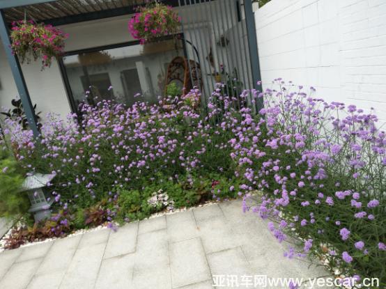 25145149f21f7ee0531522.jpg image001.jpg