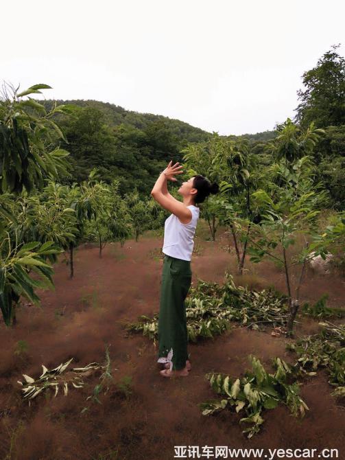 251452202753d9928f8375.jpg image013.jpg