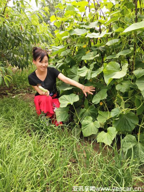 25145227d728bb83b55798.jpg image015.jpg