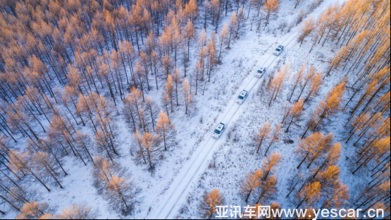1-2零下30℃的中國(guó)量產(chǎn)車性能大賽 長(zhǎng)安汽車憑什么驚艷全場(chǎng)1087.png