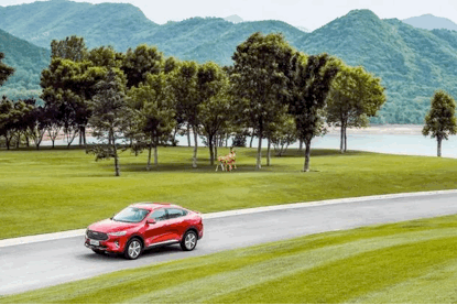 image009.gif