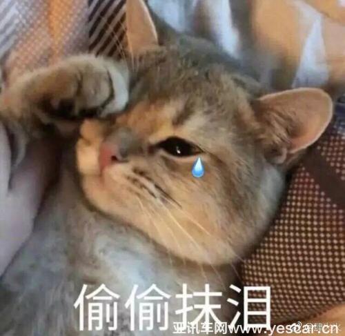圖片1.jpg
