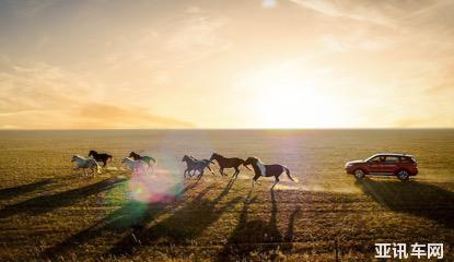 191537162974a5dc450622.jpg image006.jpg