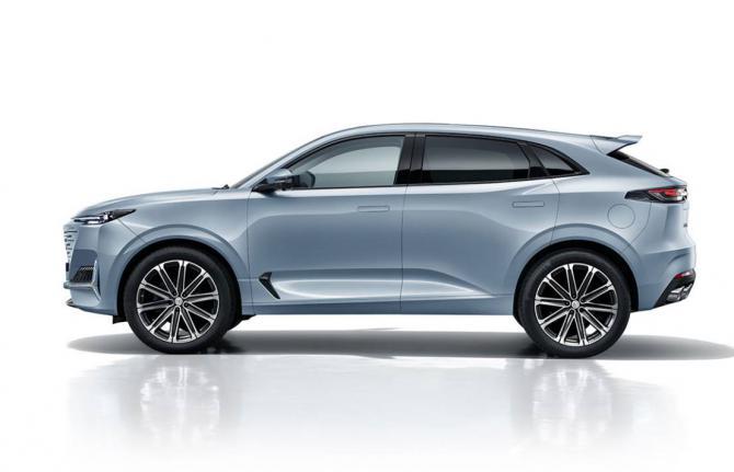 11164428810d24e1a78622.jpg image002.jpg