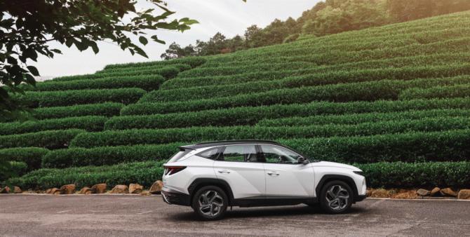 15191357a62c2ae38d6220.gif image004.gif