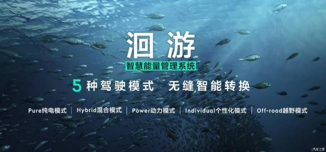 2209181235020573de4670.jpg image006.jpg