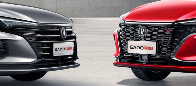 231724176b660d5a401635.jpg image002.jpg