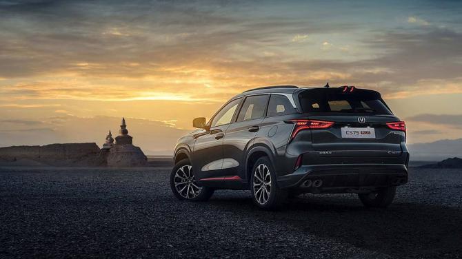 28155006a436791a665170.jpg image002.jpg