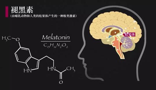 如圖片無法顯示，請刷新頁面