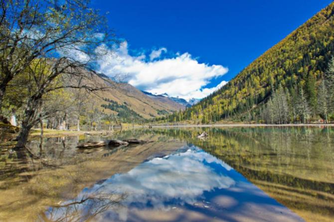 04104632ddfc943c7f7867.jpg image009.jpg