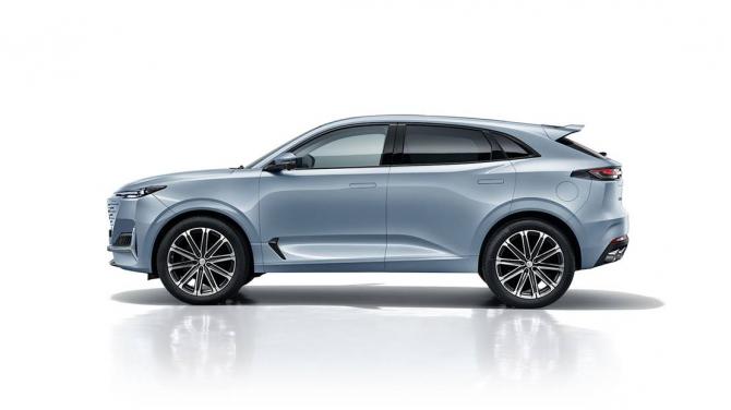 04160703a9b93b8e6c1708.jpg image004.jpg