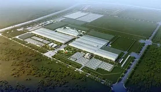 打造“鋼筋鐵骨”，解碼極狐的極“智”安全