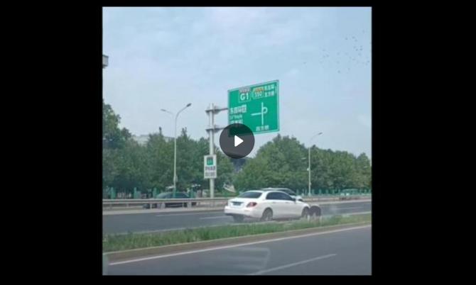 QQ截圖20220824085352.jpg
