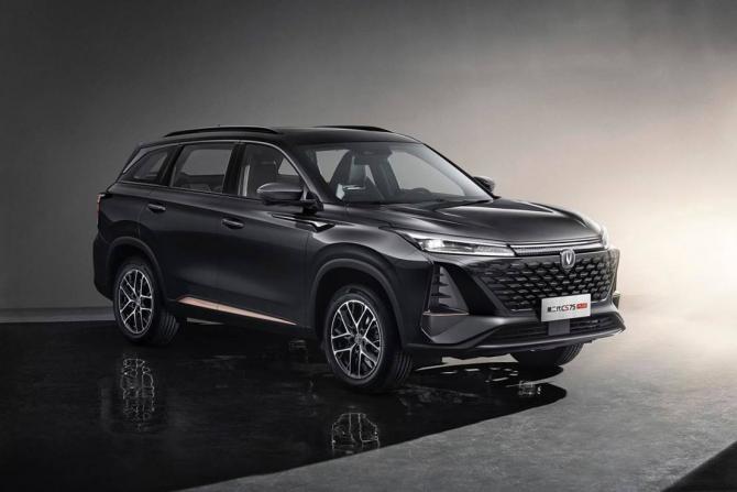 17123307fa54d5c65a0707.jpg image002.jpg