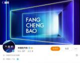 全新個性化 比亞迪F品牌或定名方程豹
