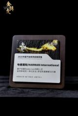 深耕本土創(chuàng)新，驅(qū)動智行未來 哈曼連續(xù)五年榮膺蓋世汽車金輯獎