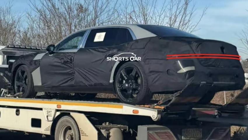 年內(nèi)發(fā)布/最新設(shè)計風(fēng)格 新款捷尼賽思G90諜照